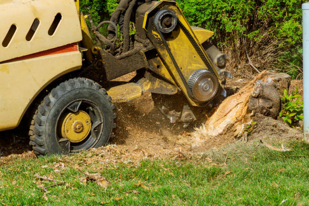 Lawn Grading and Leveling